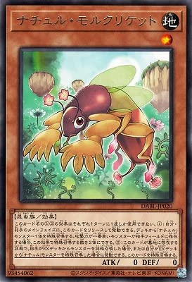 キラーチューン デッキ　ハルモニア3枚　ナチュル・ローズウィップ 遊戯王】 ナチュル・ローズウィップ DTC2/レア の通販 - カーナベル